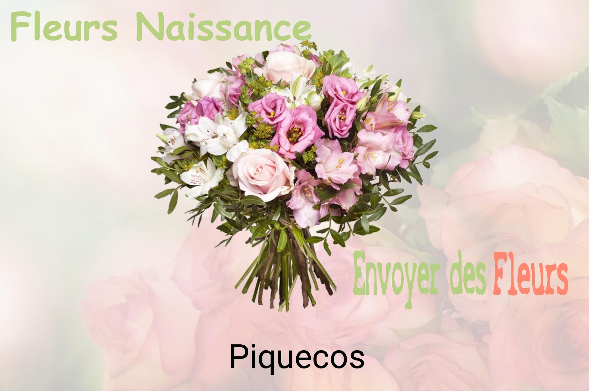 Bouquet de fleurs de naissance livré à Piquecos